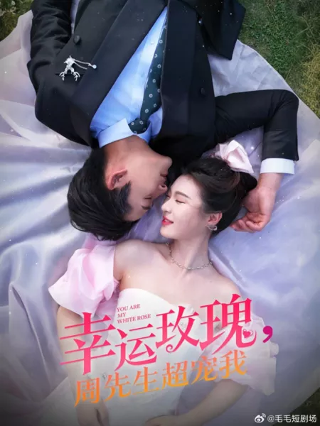 Дорама Ты — моя белая роза / You Are My White Rose  /  幸运玫瑰，周先生超宠我