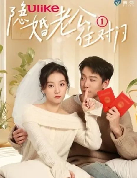 Yin Hun Lao Gong Zhu Dui Men  /  隐婚老公住对门