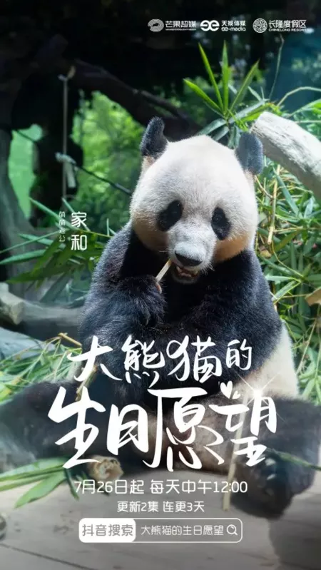 Дорама  Пожелание гигантской панды на день рождения / Da Xiong Mao De Sheng Ri Yuan Wang  /  大熊猫的生日愿望