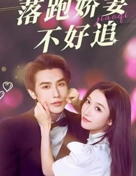 Li Zong De Luo Pao Jiao Qi Bu Hao Zhui  /  厉总的落跑娇妻不好追