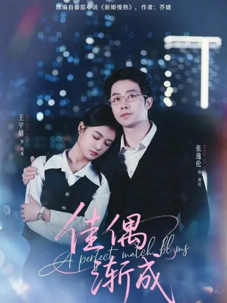 Дорама Идеальная пара / A Perfect Match Bling /  佳偶渐成