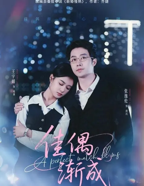 Идеальная пара / A Perfect Match Bling /  佳偶渐成