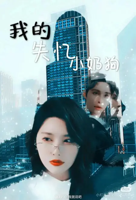 Дорама Мой милый щенок, потерявший память / My Little Amnesiac Puppy /  我的失忆小奶狗