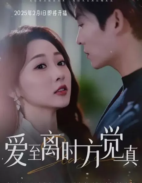 Ai Zhi Li Shi Fang Jue Zhen  /  爱至离时方觉真