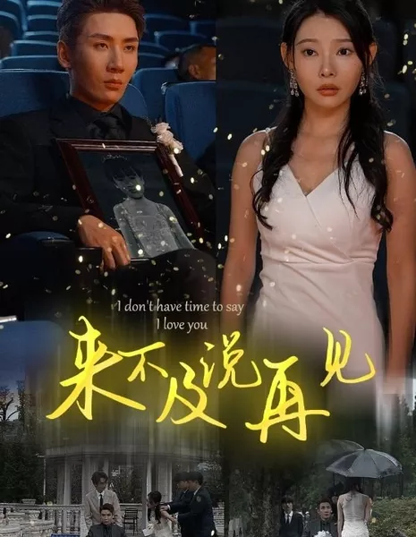 У меня нет времени говорить, что я люблю Тебя / I Don't Have Time to Say I Love You  /  来不及说再见