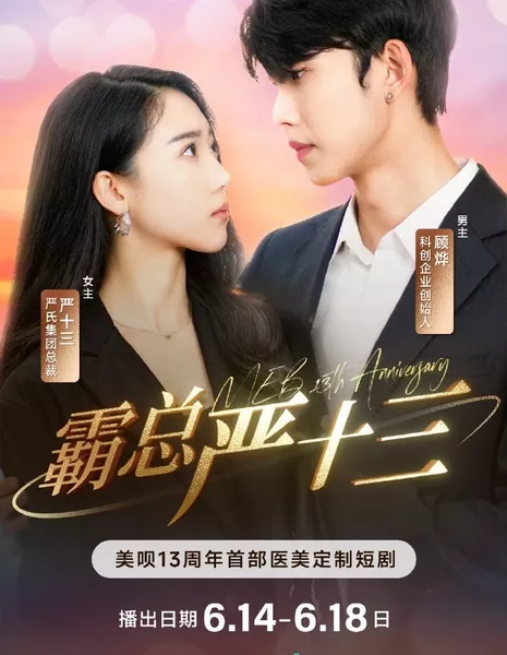 Ba Zong Yan Shi San  /  霸总严十三