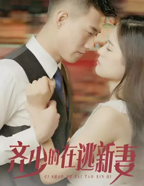 Qi Shao De Zai Tao Xin Qi  /  齐少的在逃新妻