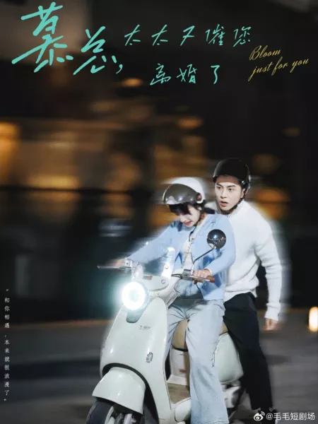 Дорама Расцветаю только для тебя / Bloom Just for You /  慕总太太又催您离婚了