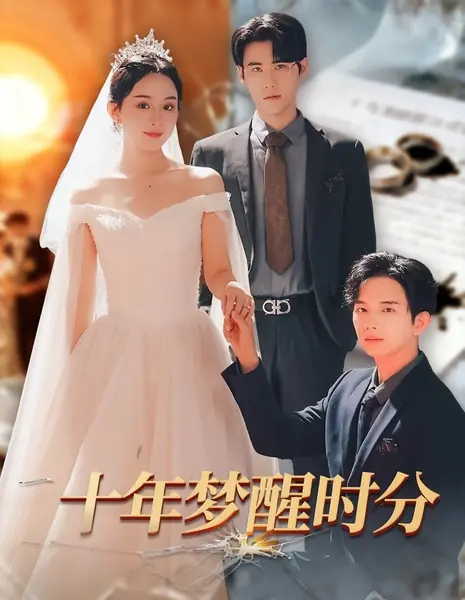 Десять лет до момента пробуждения от сна / Shi Nian Meng Xing Shi Fen /  十年梦醒时分