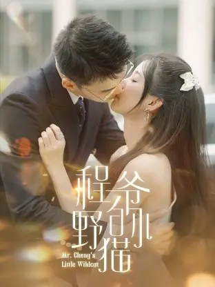 Дорама Маленькая дикая кошечка господина Чэна / Mr. Cheng's Little Wildcat /  程爷的小野猫