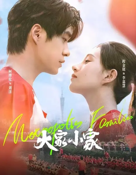 Семьи из мегаполиса / Metropolis Families /  大家小家