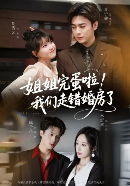 Дорама Влюбиться / Fall in Love /  姐姐完蛋啦，我们走错婚房了
