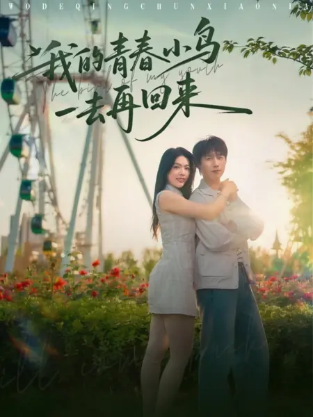 Дорама Птица моей юности / The Bird of My Youth /  我的青春小鸟一去再回来