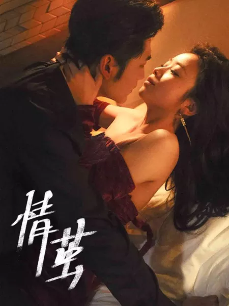 Дорама Кокон любви / Love Cocoon / 情茧