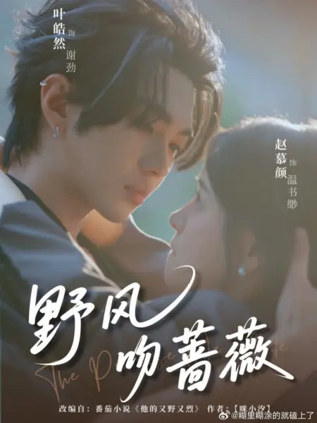 Дорама Дикий ветер целует розу / Ye Feng Wen Qiang Wei /  野风吻蔷薇