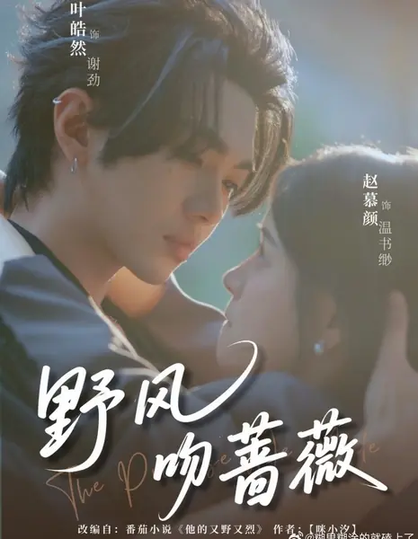 Дикий ветер целует розу / Ye Feng Wen Qiang Wei /  野风吻蔷薇