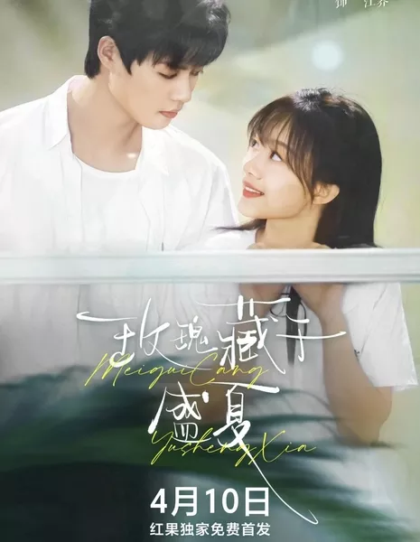 Mei Gui Cang Yu Sheng Xia  / Mei Gui Cang Yu Sheng Xia /  玫瑰藏于盛夏