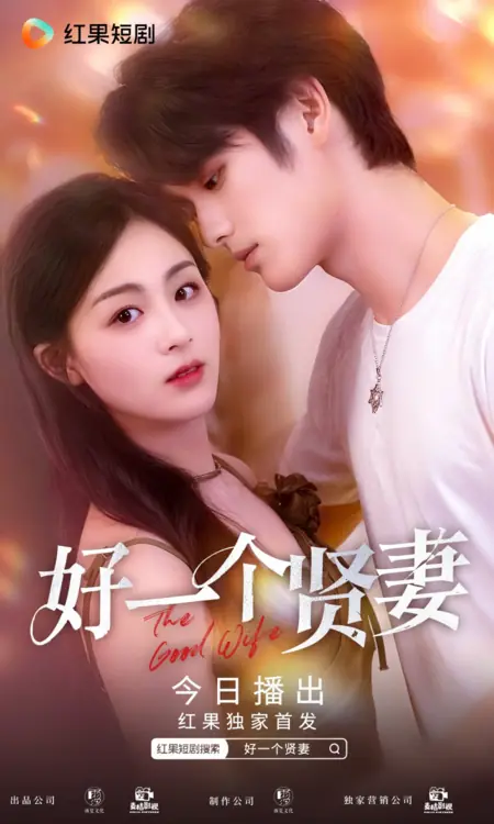 Дорама Хорошая жена / The Good Wife /  好一个贤妻