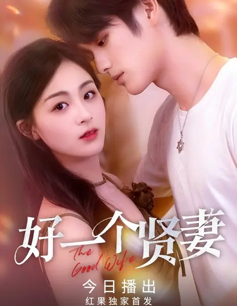 Хорошая жена / The Good Wife /  好一个贤妻