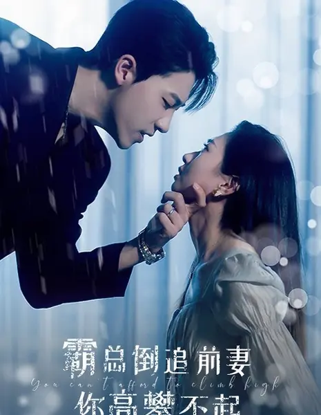 You Can't Afford to Climb High /  霸总倒追前妻你高攀不起