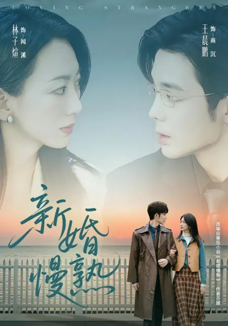 Дорама Любящие незнакомцы / Loving Strangers /  新婚慢熟