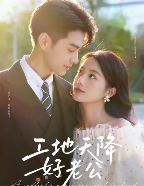 Внезапно появившийся хороший муж / A Suddenly Appearing Good Husband /  工地天降好老公