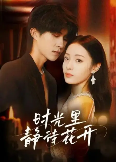 Дорама Shi Guang Li Jing Dai Hua Kai  /  时光里静待花开