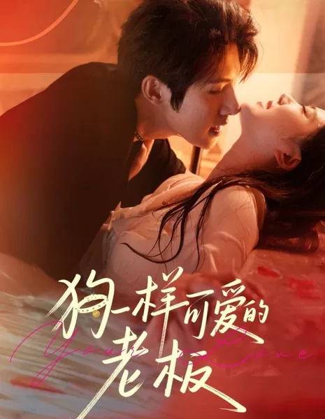 Мой босс - милый пёсик / Your Love /  狗一样可爱的老板