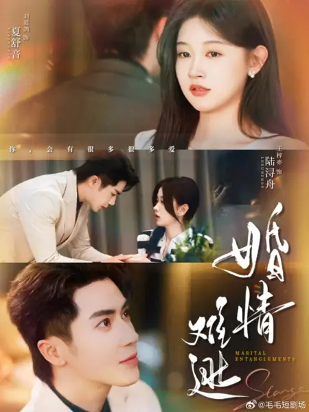Дорама Семейные неурядицы / Marital Entanglements /  婚情难逃
