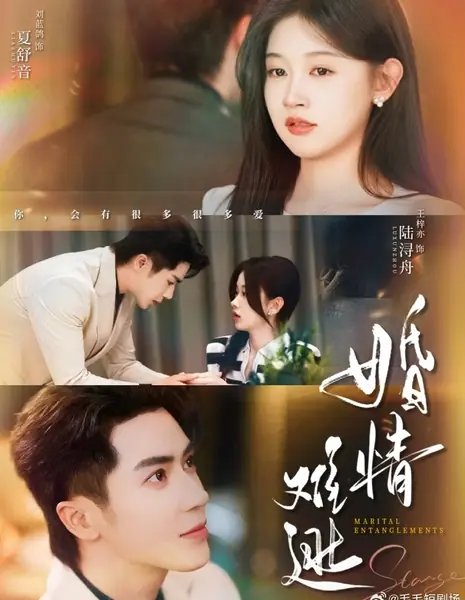 Семейные неурядицы / Marital Entanglements /  婚情难逃