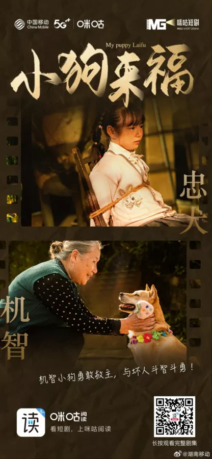 Дорама Мой щенок Лайфу / My Puppy Laifu  /  小狗来福