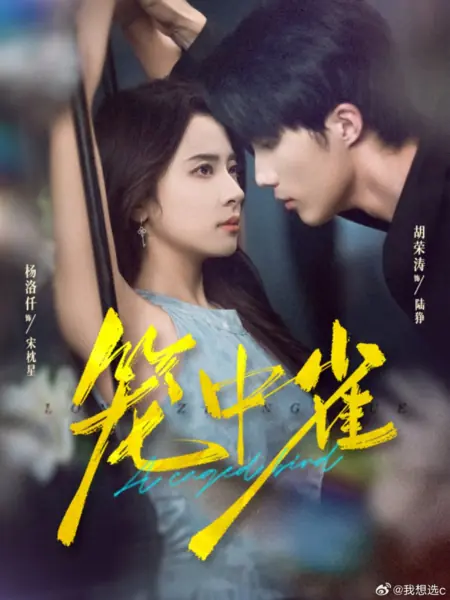 Дорама Птица в клетке / A Caged Bird /  笼中雀