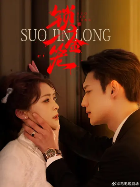 Дорама Запереть золотую клетку  / Suo Jin Long /  锁金笼