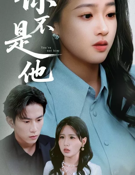 Ты - не он / You're Not Him  /  你不是他