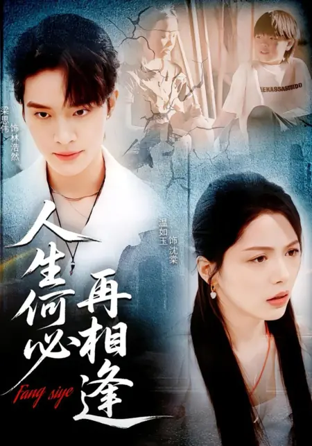 Дорама Ren Sheng He Bi Zai Xiang Feng /  人生何必再相逢