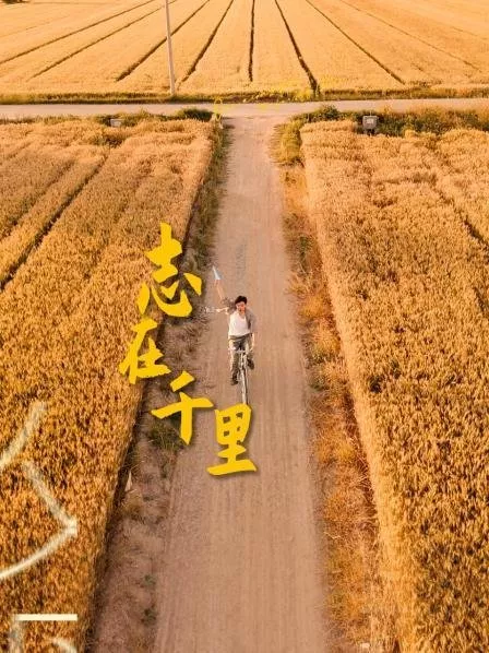 Дорама Стремясь преодолеть тысячи миль / Zhi Zai Qian Li  /  志在千里