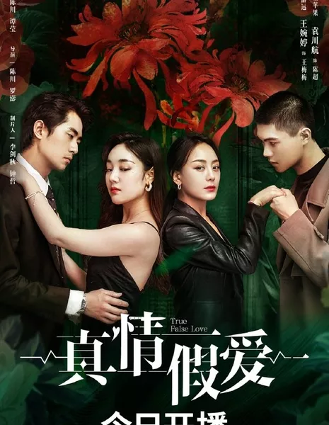  Настоящая или ложная любовь / True False Love  /  真情假爱