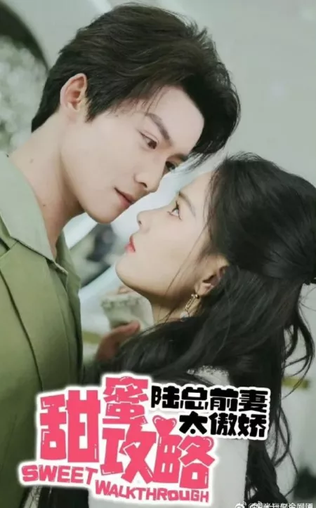 Дорама Приятное пошаговое руководство / Sweet Walkthrough  /  甜蜜攻略陆总前妻太傲娇