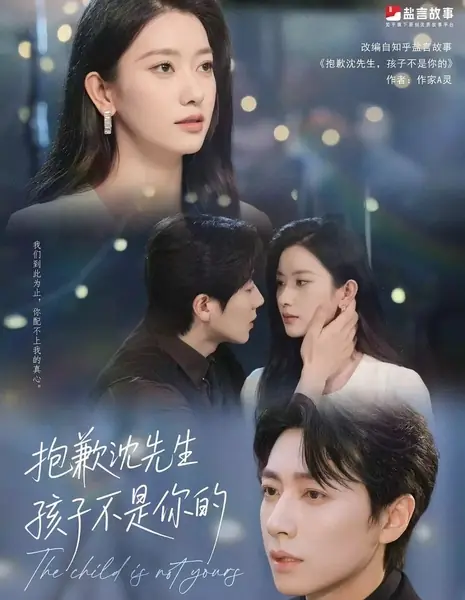 Этот ребёнок не твой / The Child Is Not Yours /  抱歉沈先生，孩子不是你的