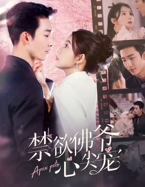 Возлюбленная воздержанного Будды / Apex Pets  /  禁欲佛爷心尖宠