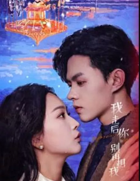 Wo Zou Hou Ni Bie Zai Xiang Wo /  我走后你别再想我