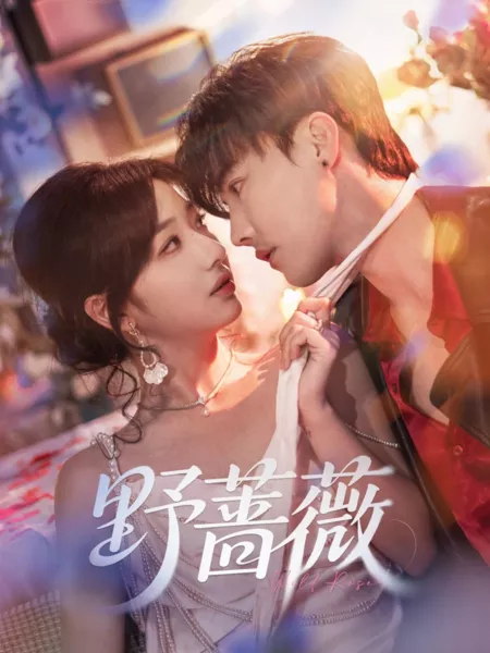 Дорама Дикая роза / Wild Rose (10.2025) /  野蔷薇