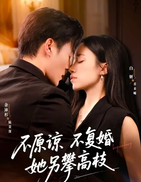 Никакого прощения, никакого повторного брака / No Forgiveness, No Remarriage /  不原谅不复婚她另攀高枝