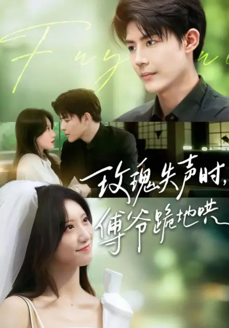 Дорама Фальшивый развод, искреннее сожаление: ее молчаливая месть / Mei Gui Shi Sheng Shi, Fu Ye Gui Di Hong /  玫瑰失声时，傅爷跪地哄