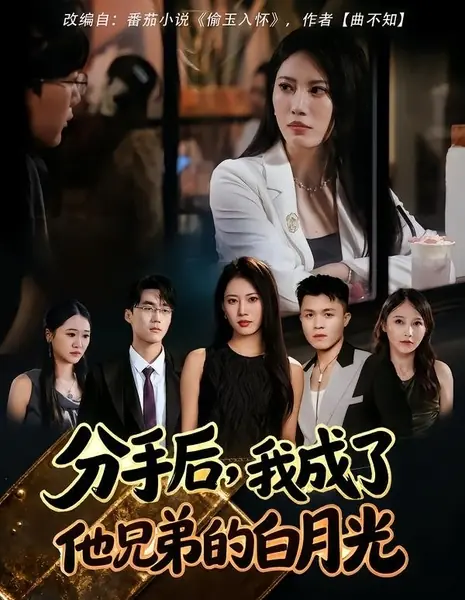 После расставания я стала «белой луной» его лучшего друга / Fen Shou Hou, Wo Cheng Le Ta Xiong Di De Bai Yue Guang /  分手后，我成了他兄弟的白月光
