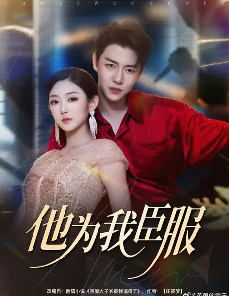 Он покорился мне / Ta Wei Wo Chen Fu /  他为我臣服