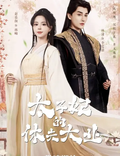 Миссия по разводу / Divorce Mission  /  太子妃的休夫大业