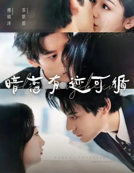 По следам скрытых чувств / An Lian You Ji Ke Xun /  暗恋有迹可循