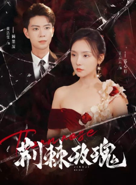 Дорама Ущерб / Damage  /  荆棘玫瑰