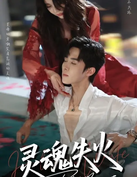 Душа в огне / Ling Hun Shi Huo /  灵魂失火